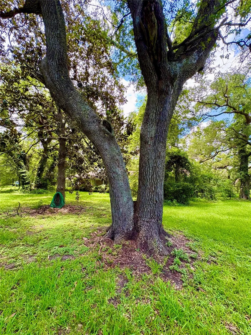 116 Balsam Street Lake Jackson, TX 77566