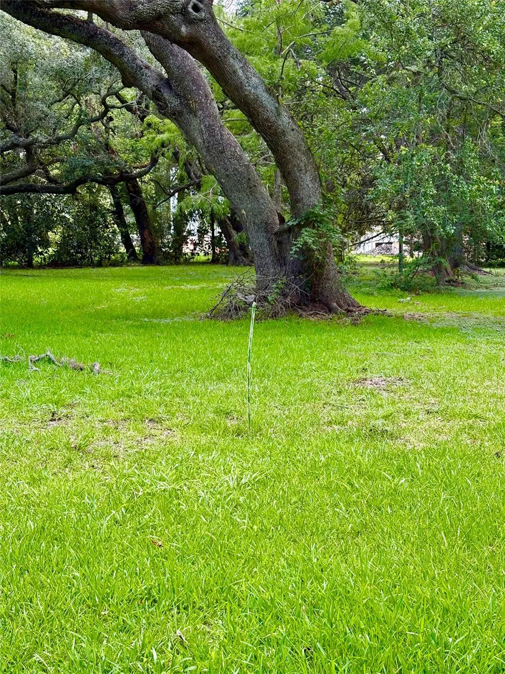 116 Balsam Street Lake Jackson, TX 77566