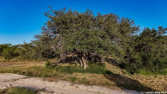 6192 County Road 2500 Bigfoot, TX 78005