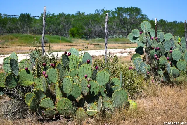 6192 County Road 2500 Bigfoot, TX 78005