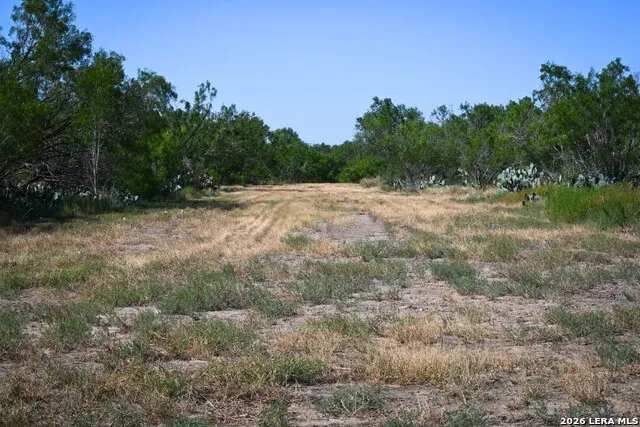 6192 County Road 2500 Bigfoot, TX 78005