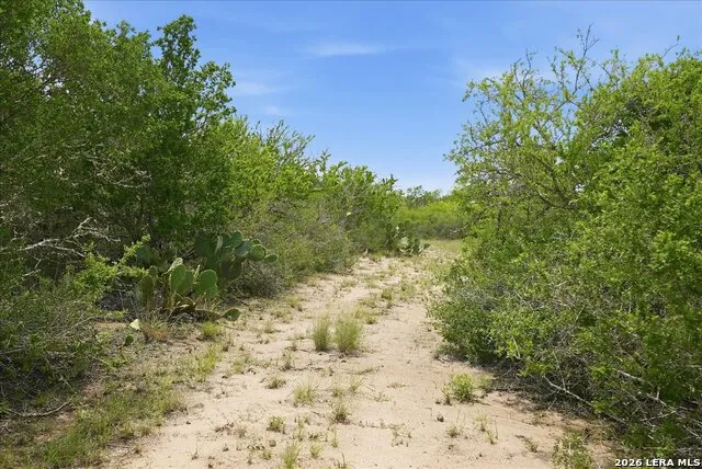 130 CHOKE CANYON ESTS Three Rivers, TX 78071