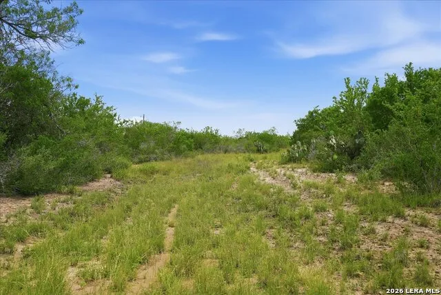 130 CHOKE CANYON ESTS Three Rivers, TX 78071