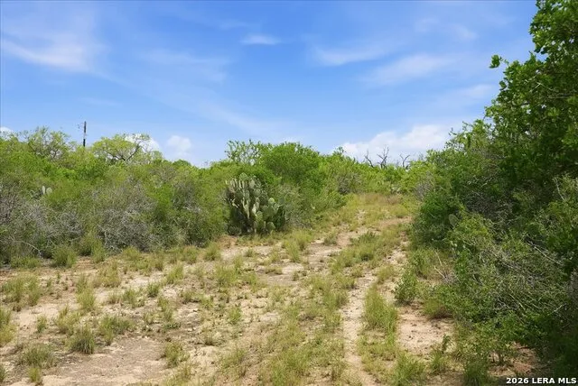 130 CHOKE CANYON ESTS Three Rivers, TX 78071