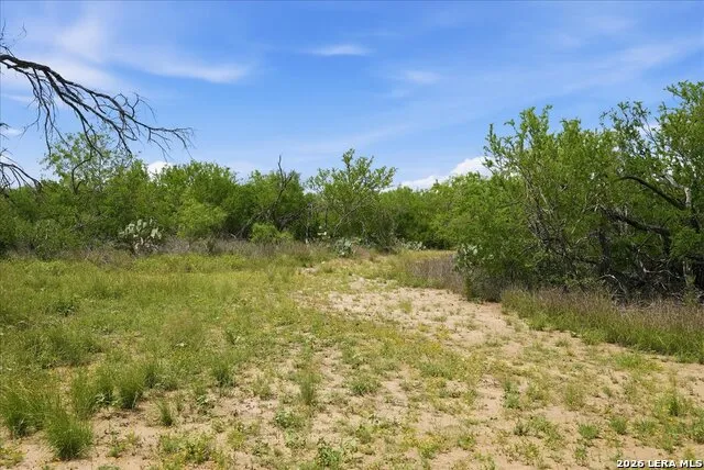 130 CHOKE CANYON ESTS Three Rivers, TX 78071