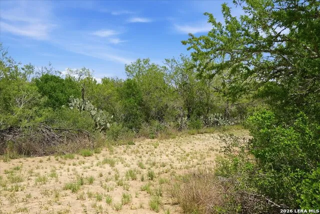 130 CHOKE CANYON ESTS Three Rivers, TX 78071
