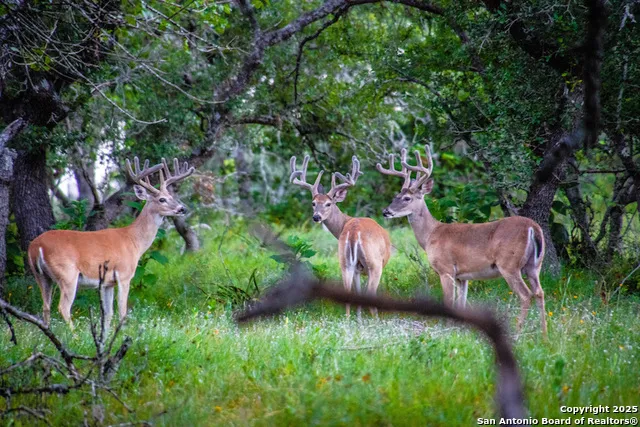 LOT 85 & 86 Headwaters Ranch Road Kendalia, TX 78027