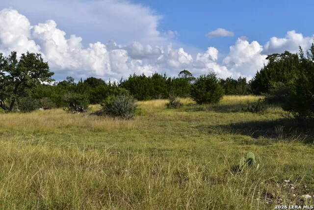 LOT 98 Grazing Meadow Lane Fredericksburg, TX 78624