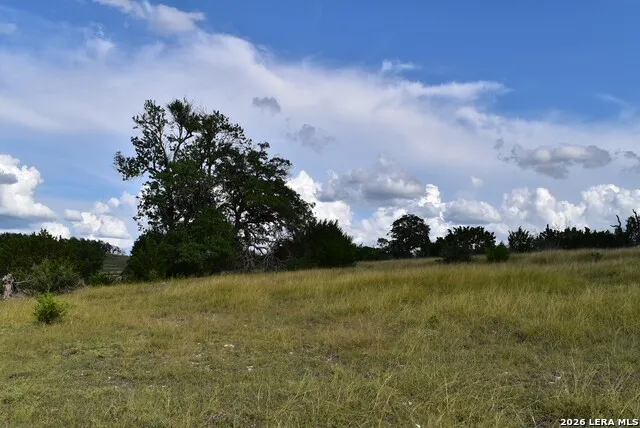 LOT 98 Grazing Meadow Lane Fredericksburg, TX 78624