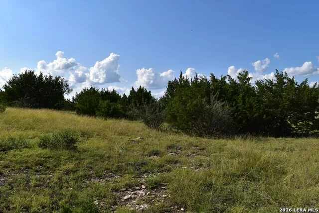 LOT 98 Grazing Meadow Lane Fredericksburg, TX 78624