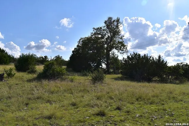 LOT 98 Grazing Meadow Lane Fredericksburg, TX 78624