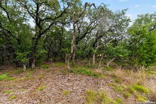 34893 THANKSGIVING TRL Bulverde, TX 78163