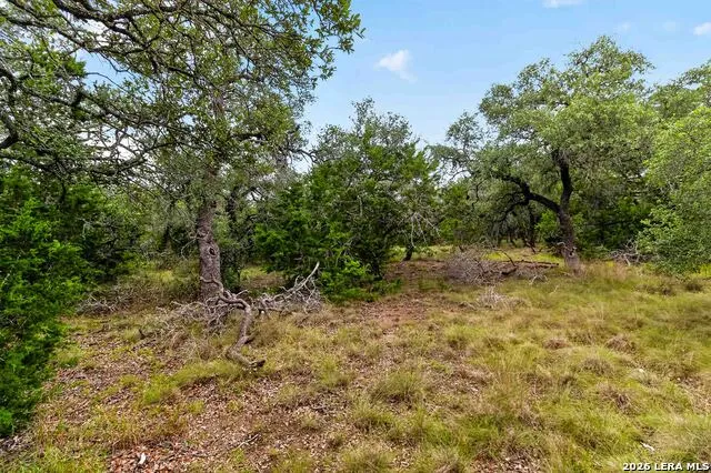 34893 THANKSGIVING TRL Bulverde, TX 78163