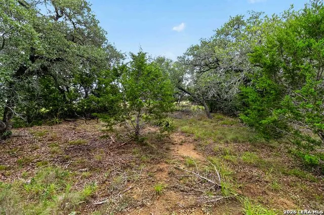 34893 THANKSGIVING TRL Bulverde, TX 78163