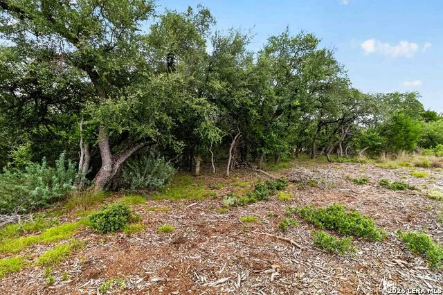 34893 THANKSGIVING TRL Bulverde, TX 78163