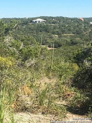 1124 COUNTY ROAD 273 Mico, TX 78056
