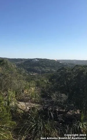 1124 COUNTY ROAD 273 Mico, TX 78056