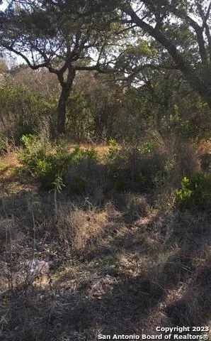 1124 COUNTY ROAD 273 Mico, TX 78056