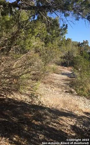 1124 COUNTY ROAD 273 Mico, TX 78056