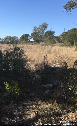 1124 COUNTY ROAD 273 Mico, TX 78056