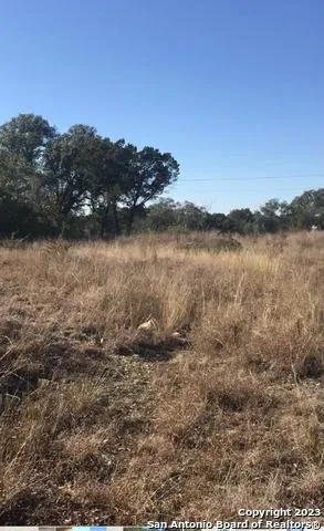 1124 COUNTY ROAD 273 Mico, TX 78056
