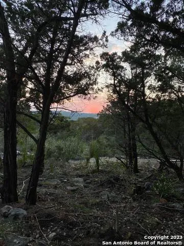1124 COUNTY ROAD 273 Mico, TX 78056