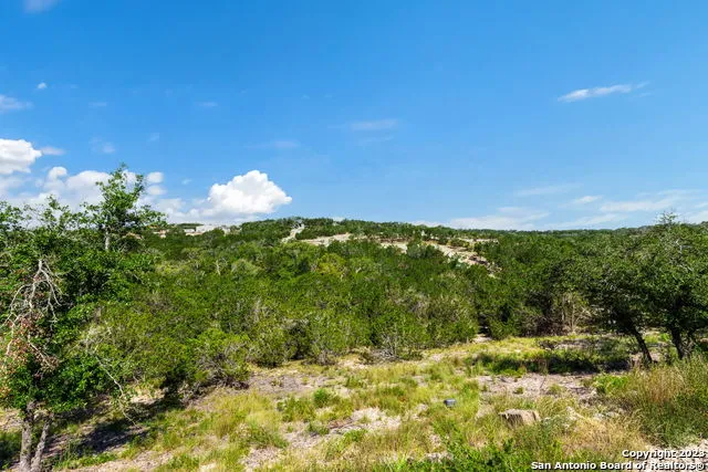 472 Stallion Estates Dr Spring Branch, TX 78070