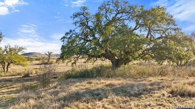 885 stanton Johnson City, TX 78636