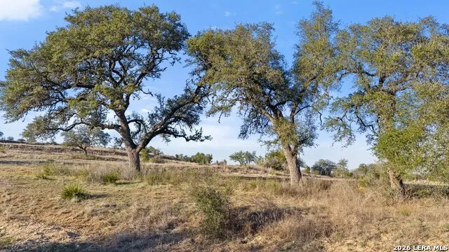 885 stanton Johnson City, TX 78636