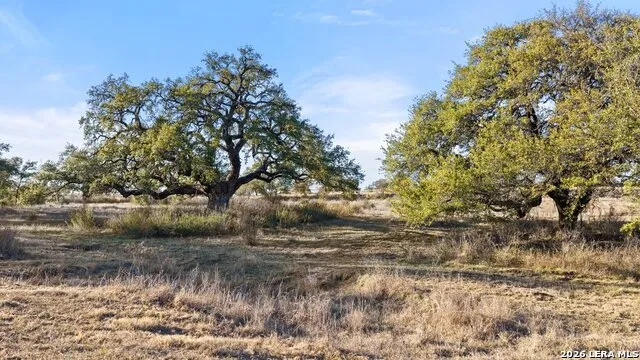 885 stanton Johnson City, TX 78636