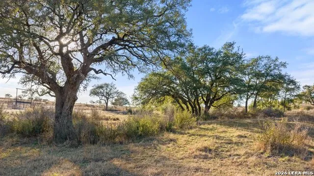 885 stanton Johnson City, TX 78636