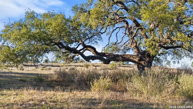 885 stanton Johnson City, TX 78636