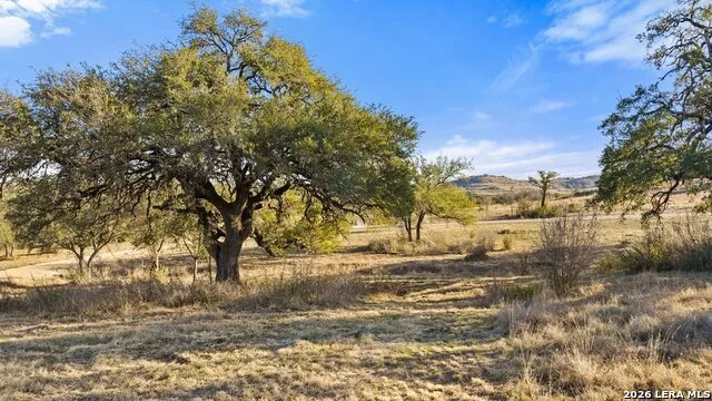 885 stanton Johnson City, TX 78636
