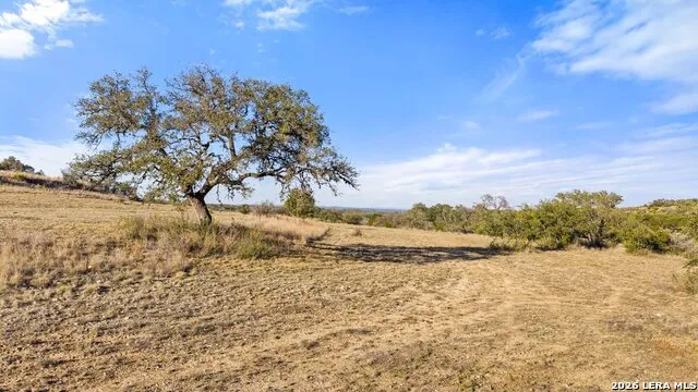 885 stanton Johnson City, TX 78636