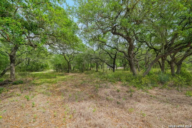 138 County Road 2765 Mico, TX 78056