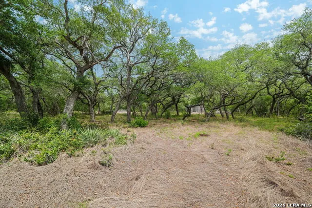 138 County Road 2765 Mico, TX 78056