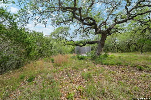 138 County Road 2765 Mico, TX 78056
