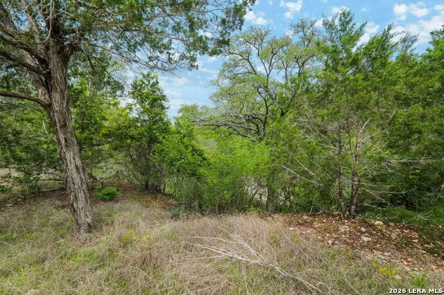 138 County Road 2765 Mico, TX 78056