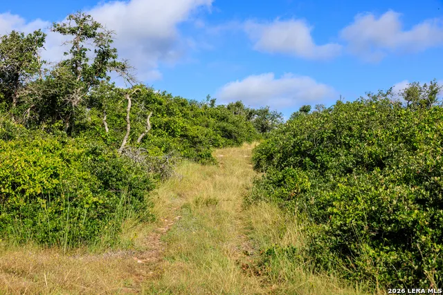 875 Gypsum Mine Road Fredericksburg, TX 78624