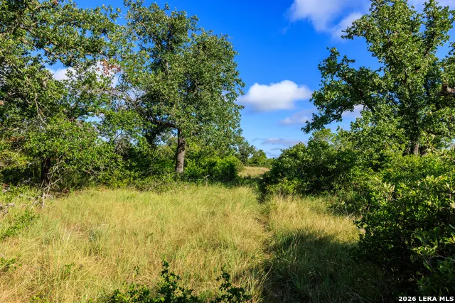 875 Gypsum Mine Road Fredericksburg, TX 78624