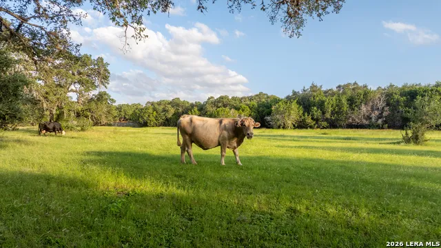 188 SPECHT RD San Antonio, TX 78260