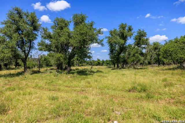 2656 Meier Road Fredericksburg, TX 78624