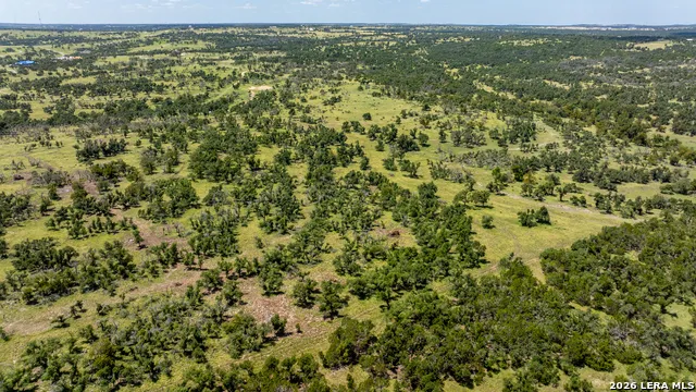 2656 Meier Road Fredericksburg, TX 78624