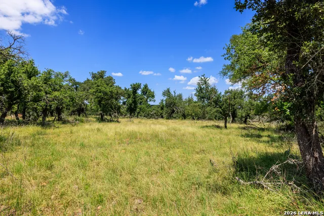 2656 Meier Road Fredericksburg, TX 78624