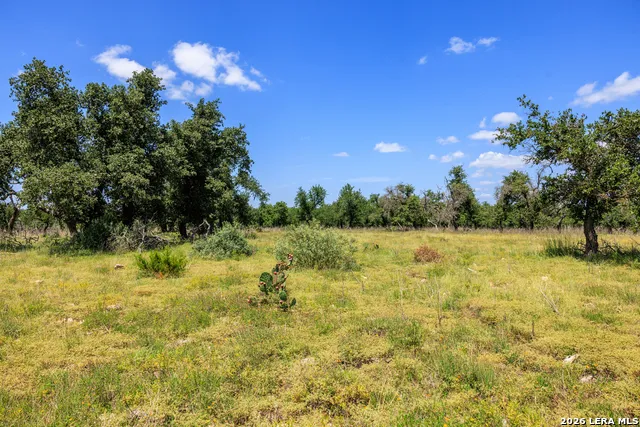 2656 Meier Road Fredericksburg, TX 78624