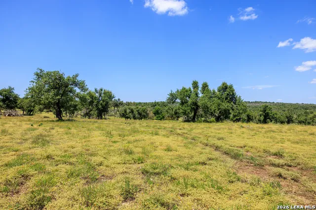2656 Meier Road Fredericksburg, TX 78624