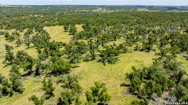 2656 Meier Road Fredericksburg, TX 78624