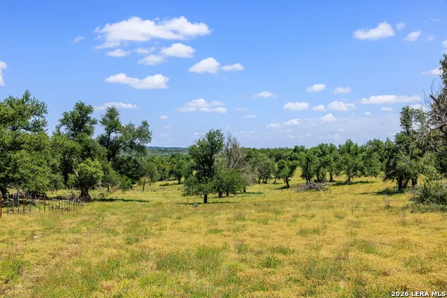 2656 Meier Road Fredericksburg, TX 78624