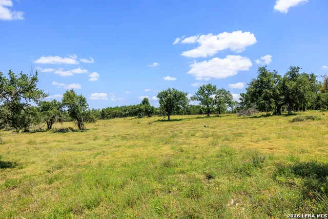 2656 Meier Road Fredericksburg, TX 78624
