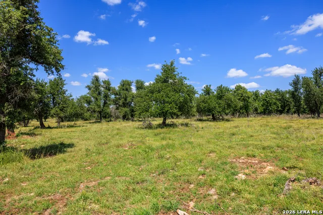 2656 Meier Road Fredericksburg, TX 78624